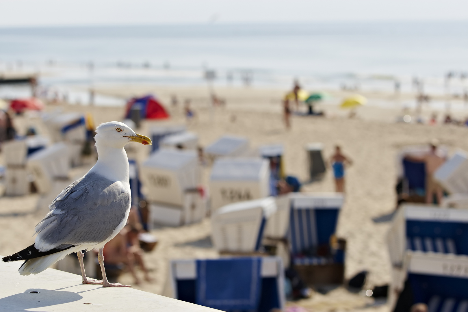 Strandpromenade Westerland