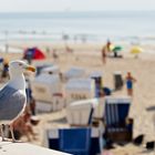 Strandpromenade Westerland