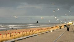 Strandpromenade Zaandvoort im Dezember