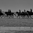 Strandreiten in St. Peter Ording