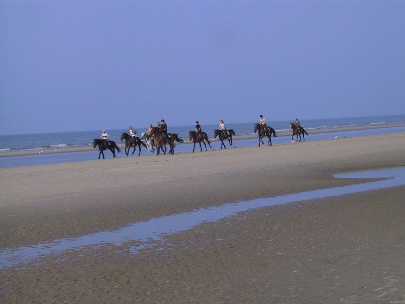 Strandreiter, De Panne, Belgien