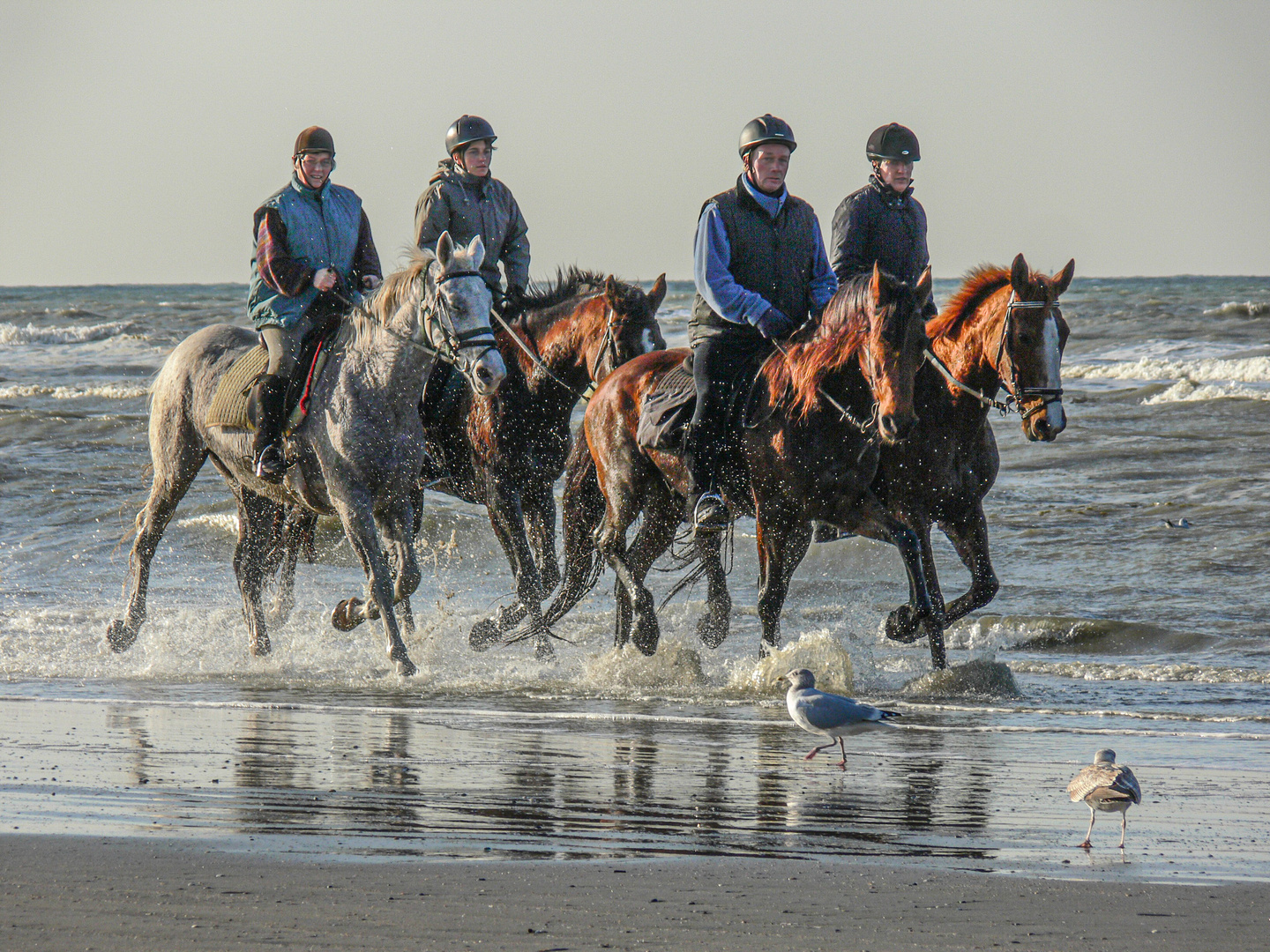 Strandreiter*innen  De Panne