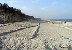 Strandrekultivierung in Zingst