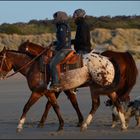 Strandritt zu Fünft