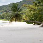 Strandromantik auf Mahé