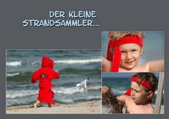 Strandsammler...