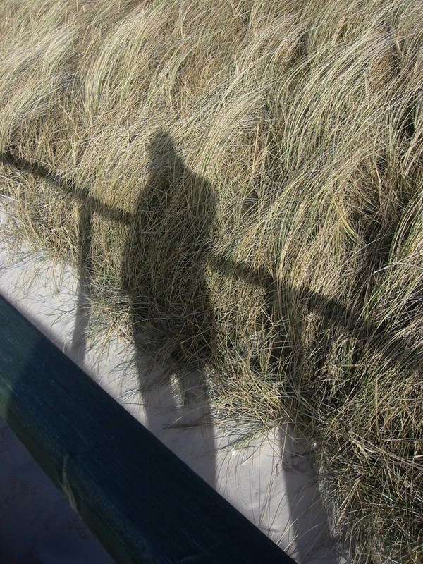 StrandSchatten