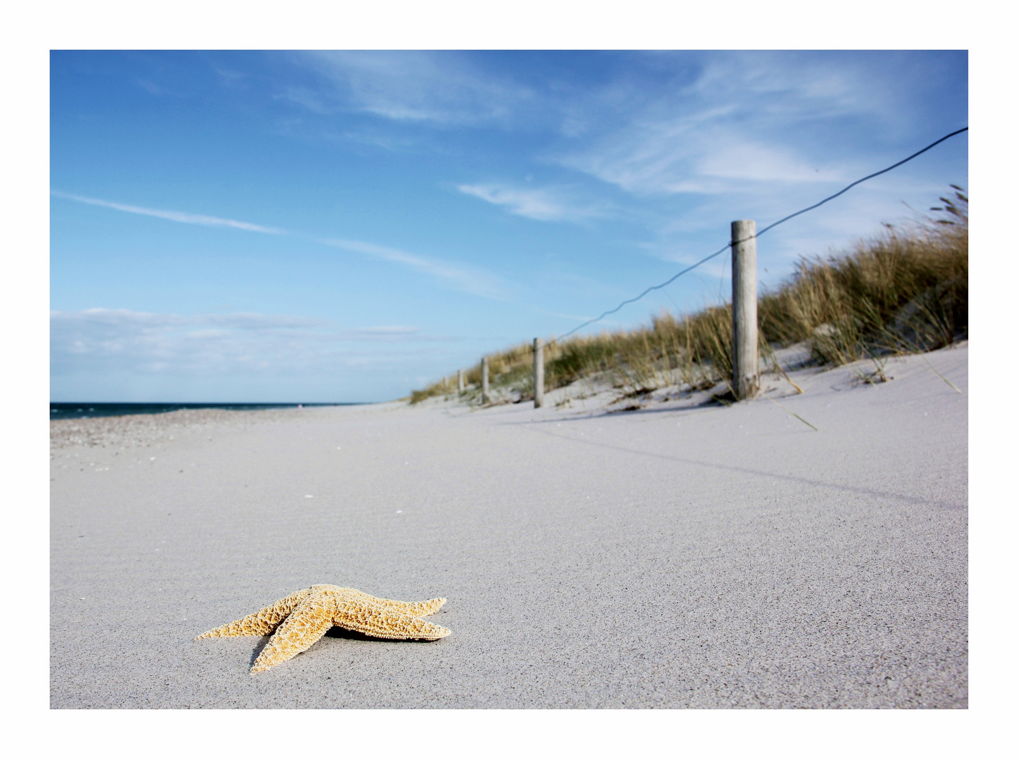 Strandschatz