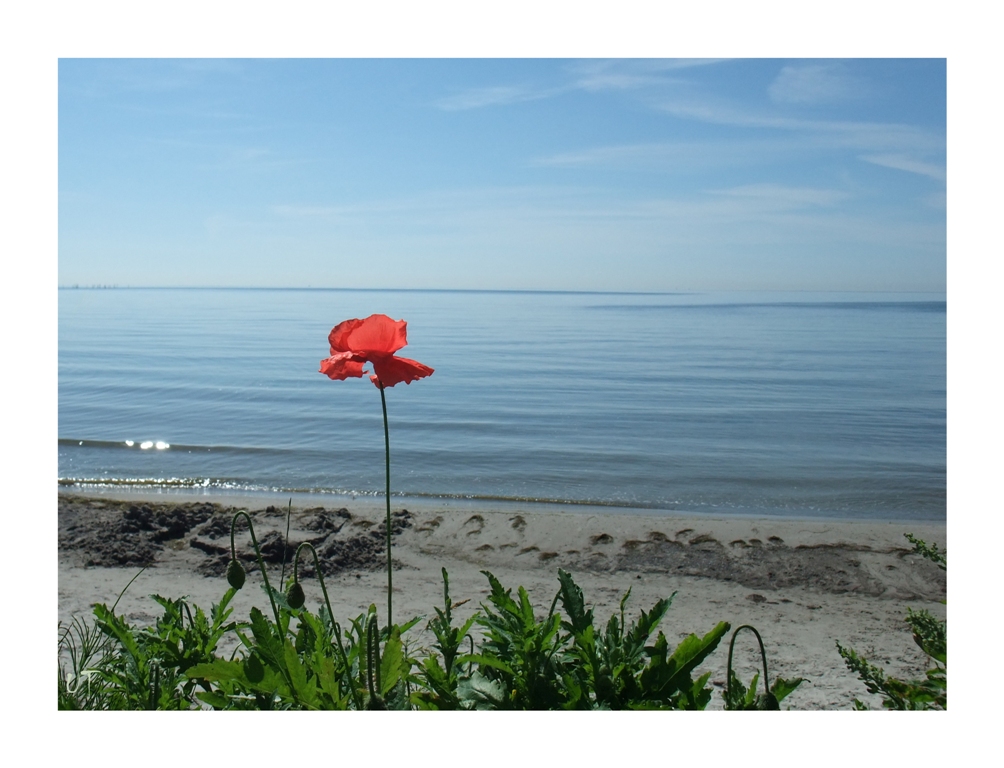 Strandschönheit