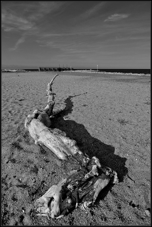 Strandschönheit