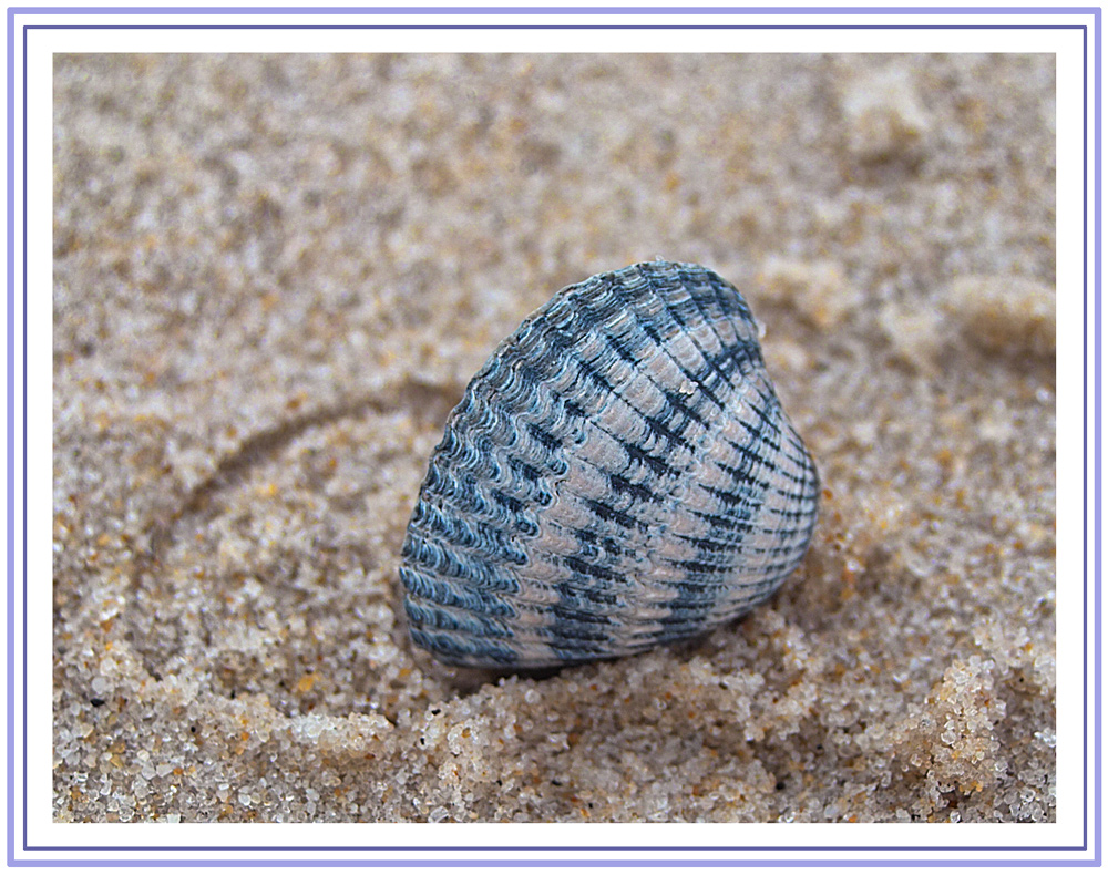 Strandschönheit !