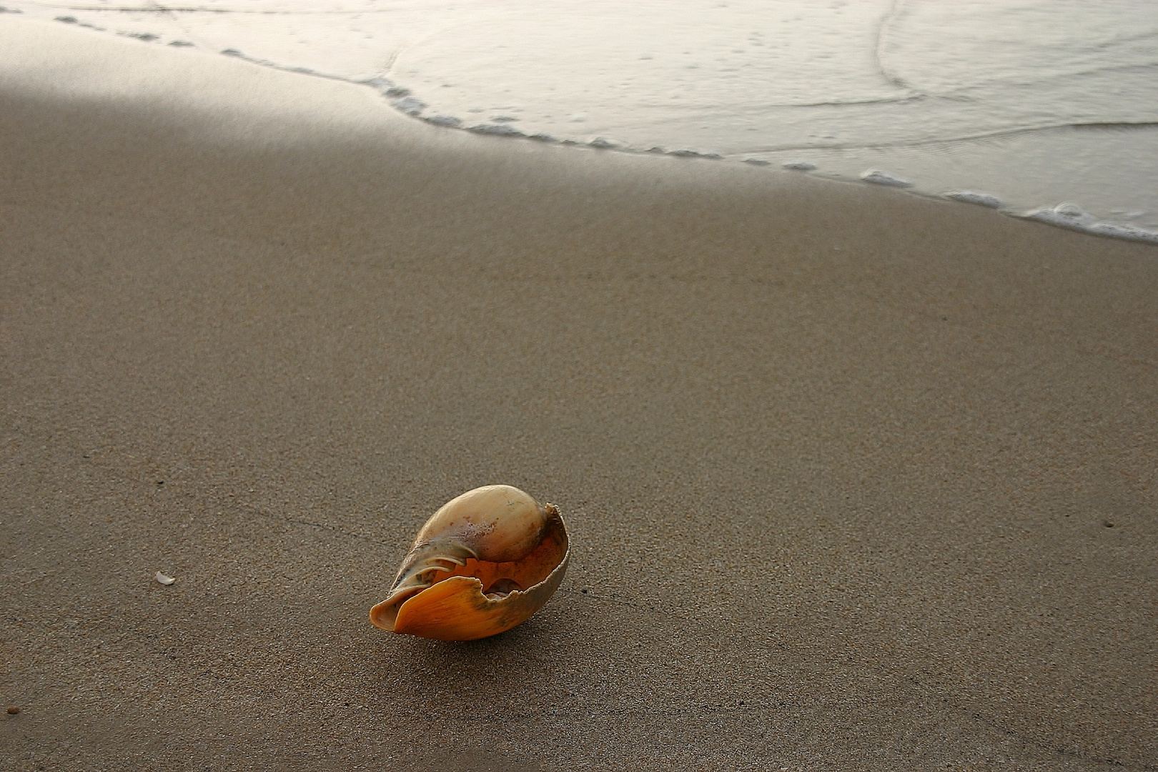 Strandschönheit