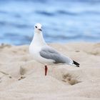 Strandschönheit