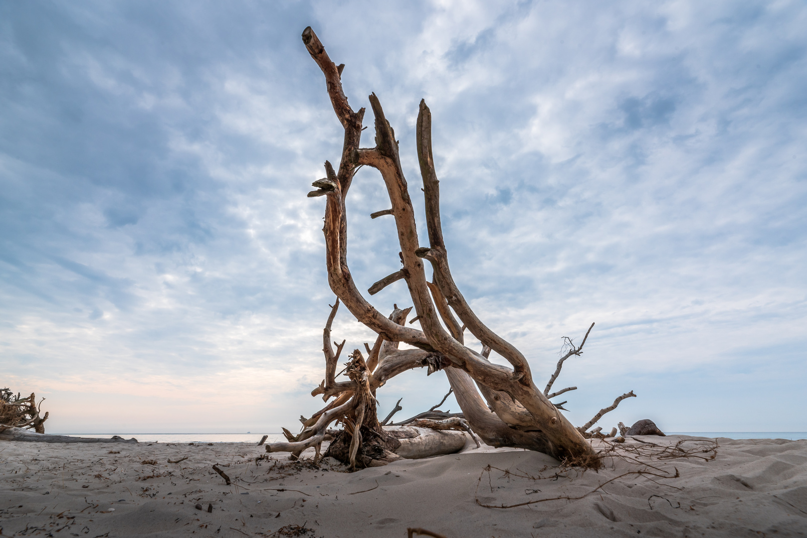 Strandschönheiten I