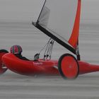 Strandsegler auf Borkum