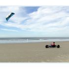 Strandsegler auf Langeoog