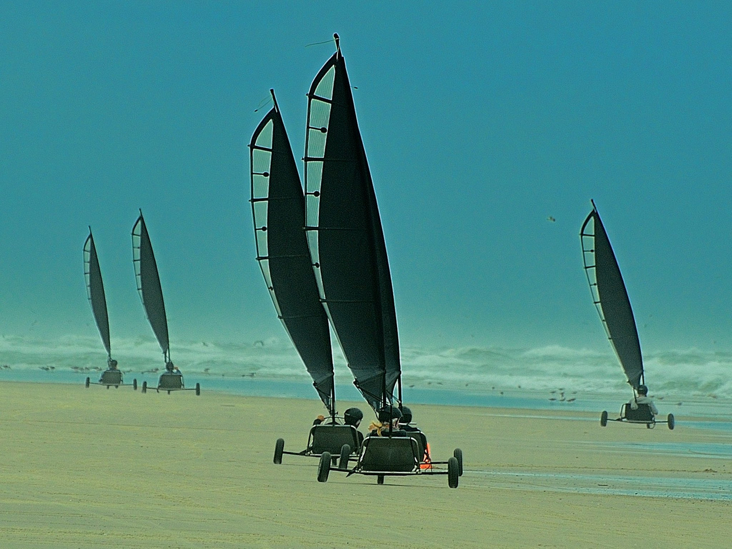 Strandsegler auf Terschelling