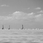 Strandsegler in St. Peter-Ording