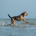 Strandshooting  Boltenhagen