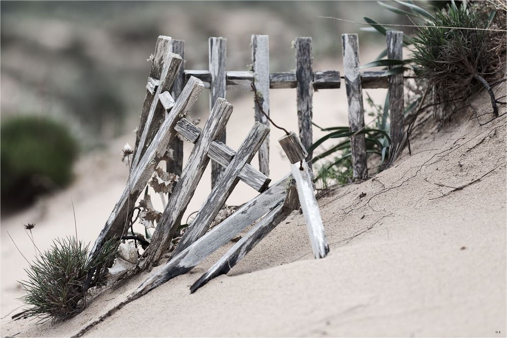 Strandsicherung