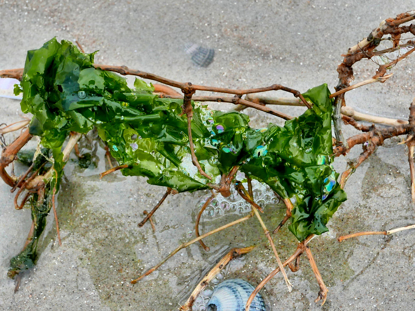 Strandskulptur