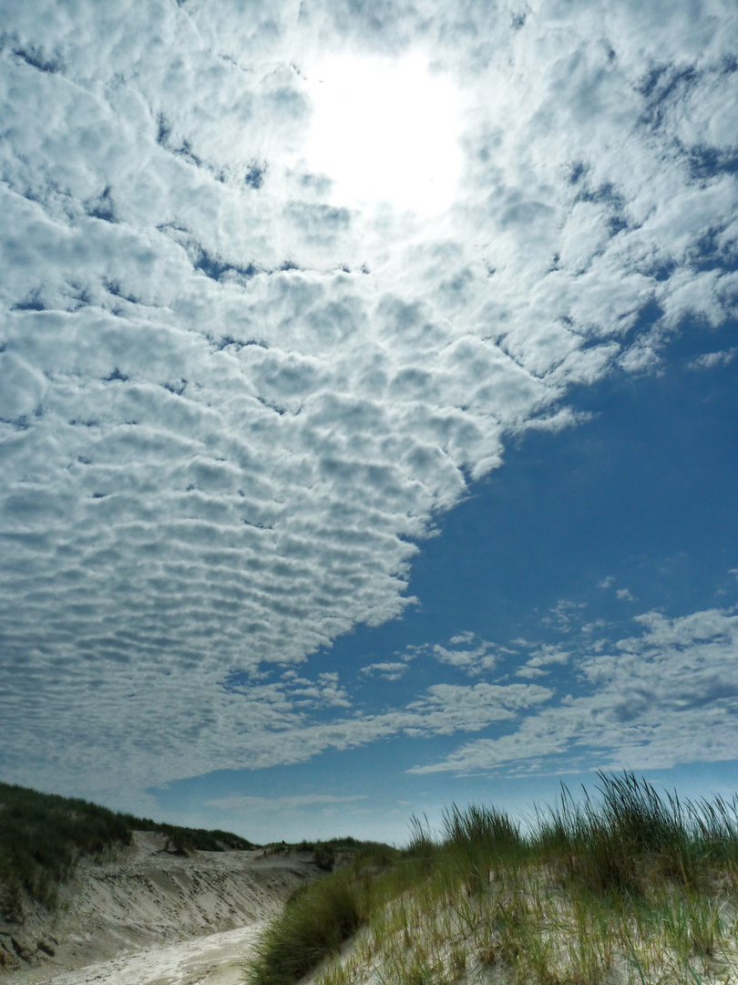 Strandsonne