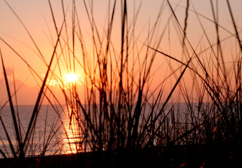 Strandsonne ; ) am Morgen