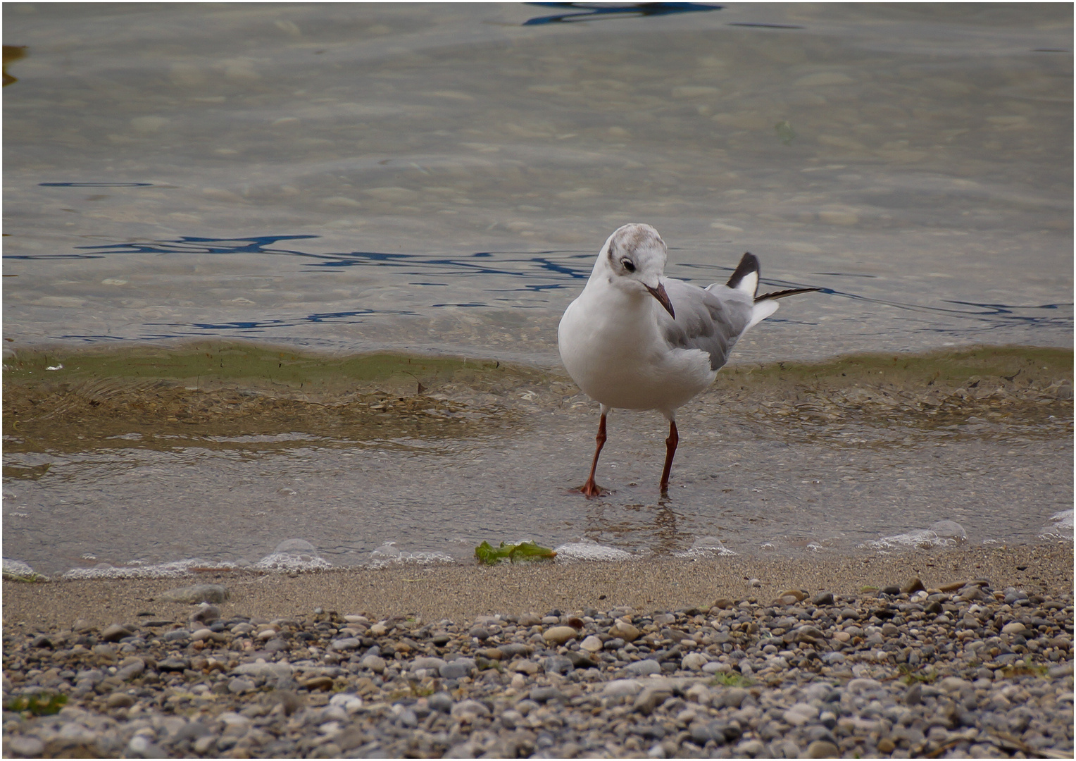 Strandsparziergang