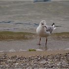 Strandsparziergang