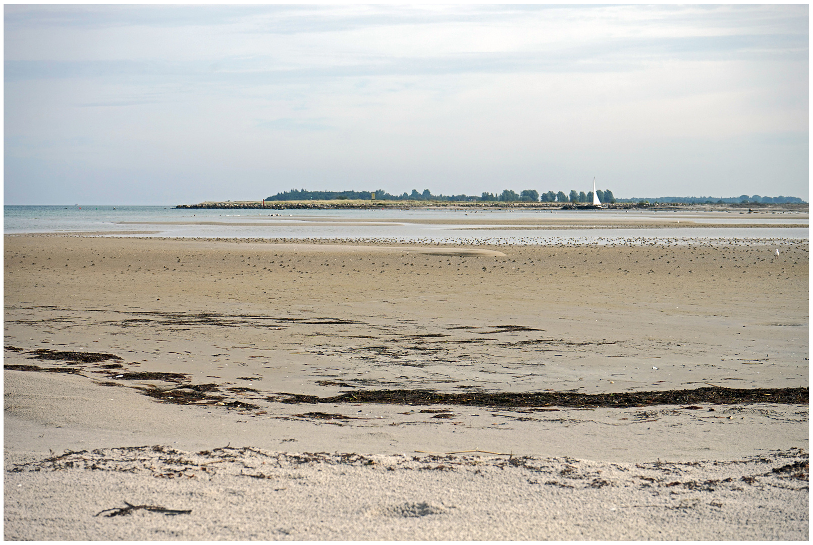 Strandsparziergang im Herbst