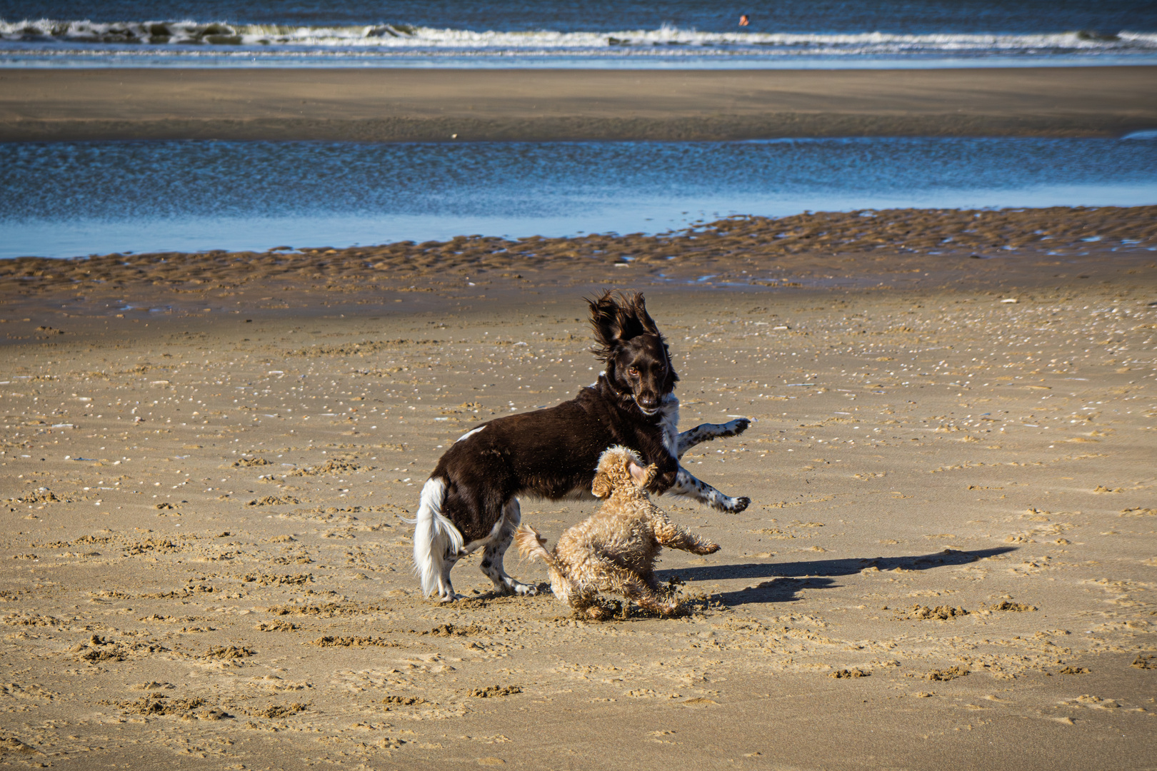 Strandspaß in Blömendaal-