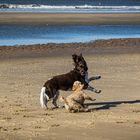 Strandspaß in Blömendaal-