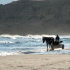 Strandspazierfahrt