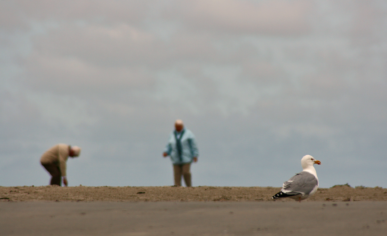 Strandspaziergänger