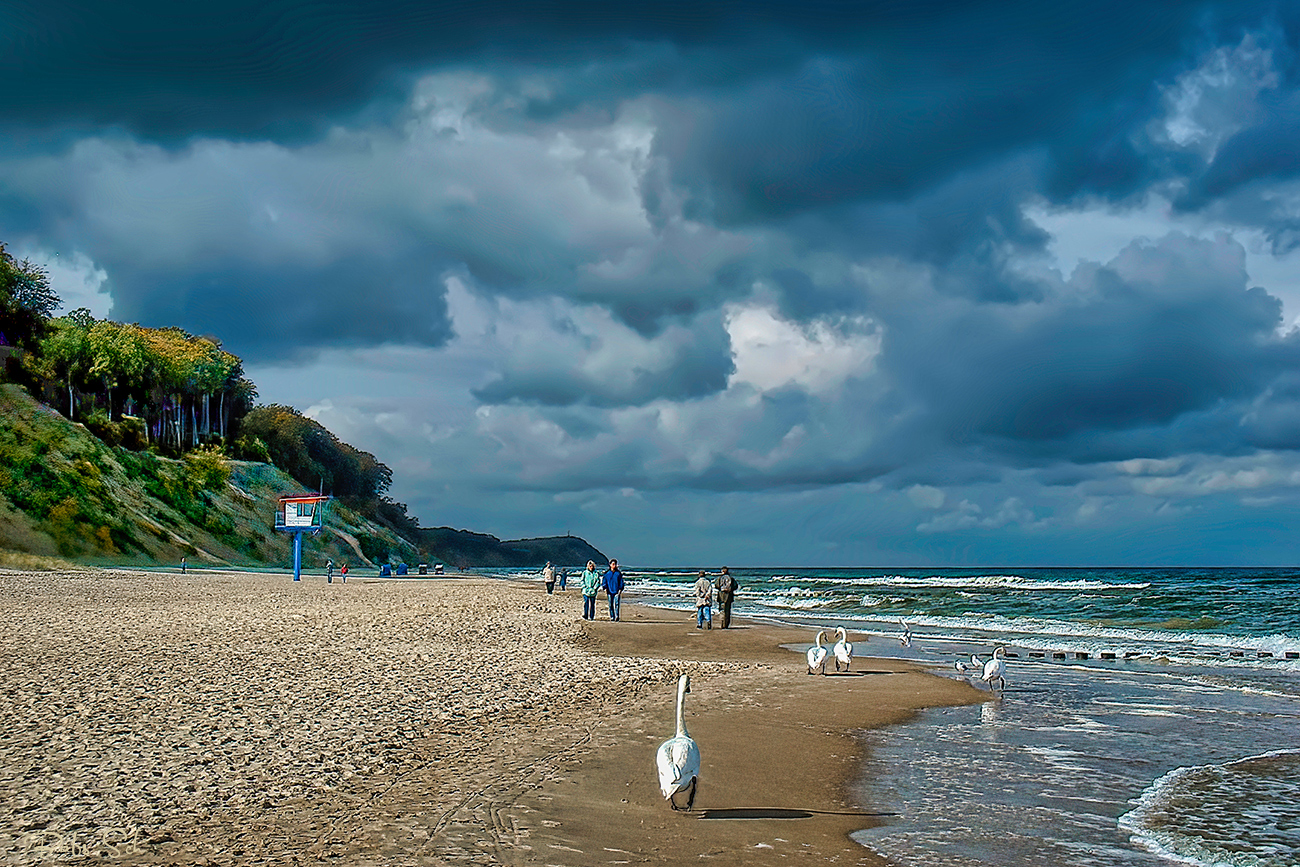 Strandspaziergänger 