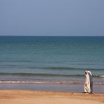 Strandspaziergang