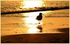 Strandspaziergang