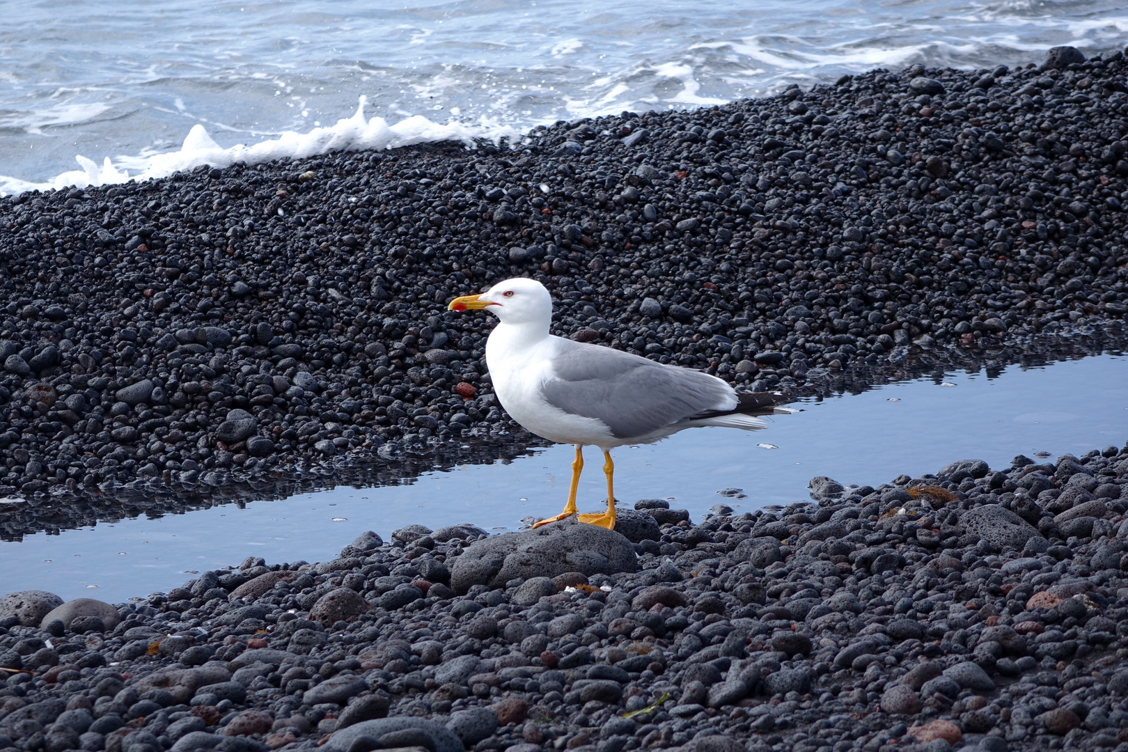 Strandspaziergang