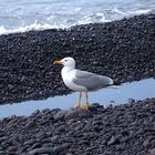 Strandspaziergang