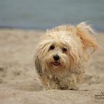 Strandspaziergang