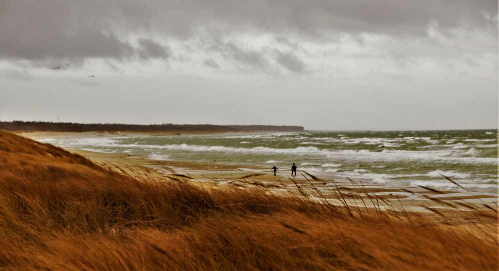 Strandspaziergang