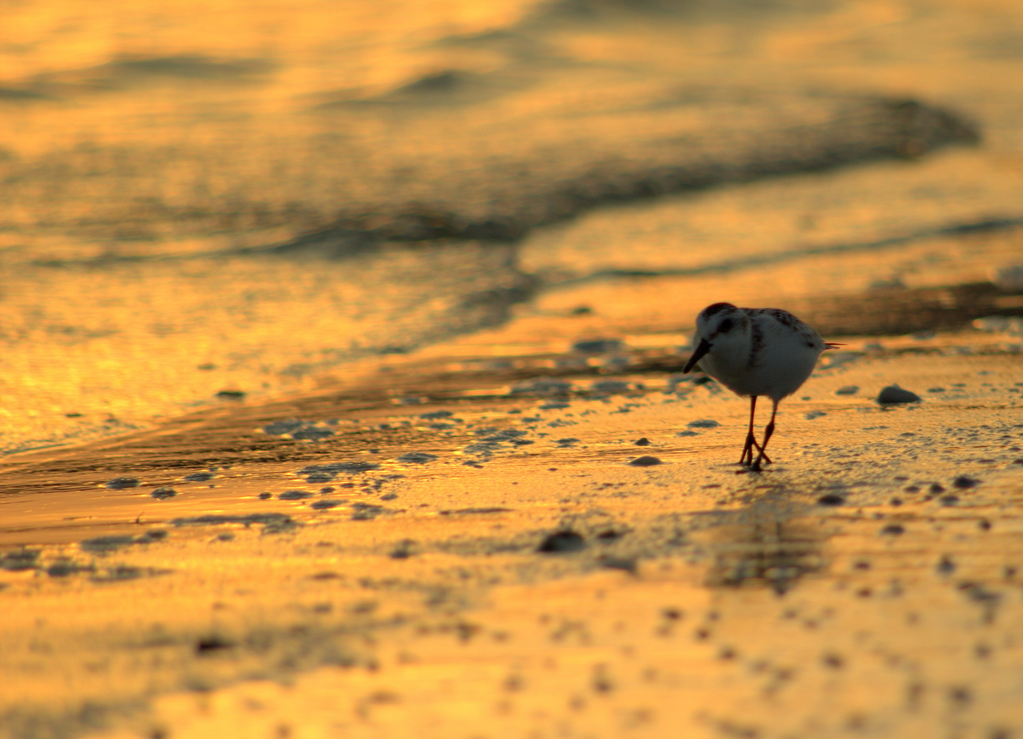 Strandspaziergang