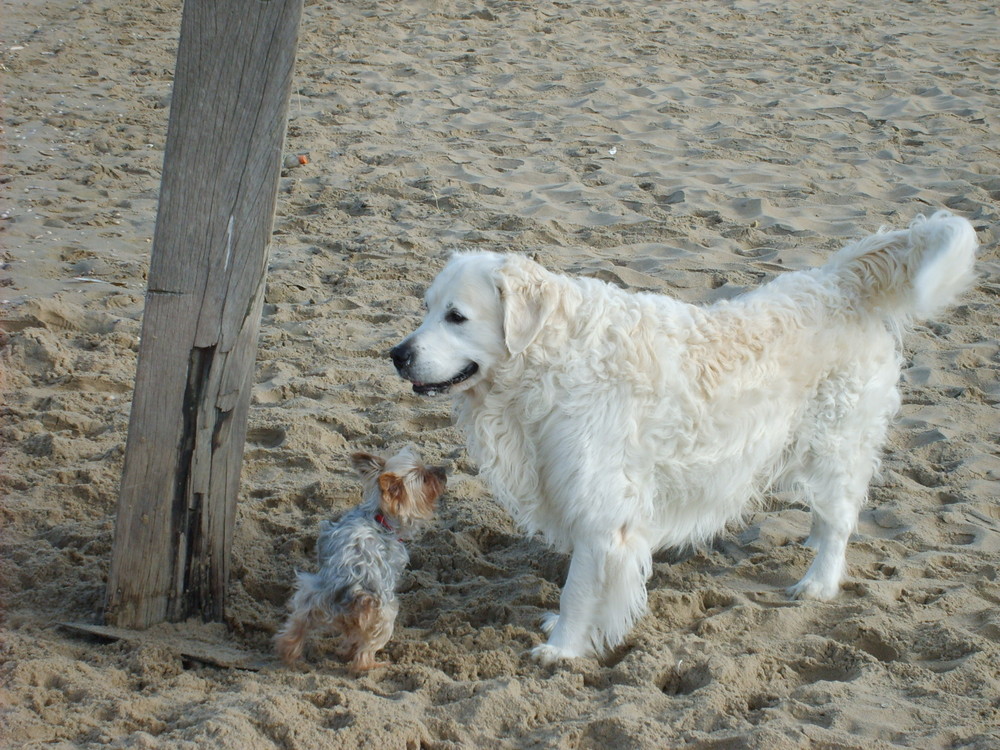 Strandspaziergang