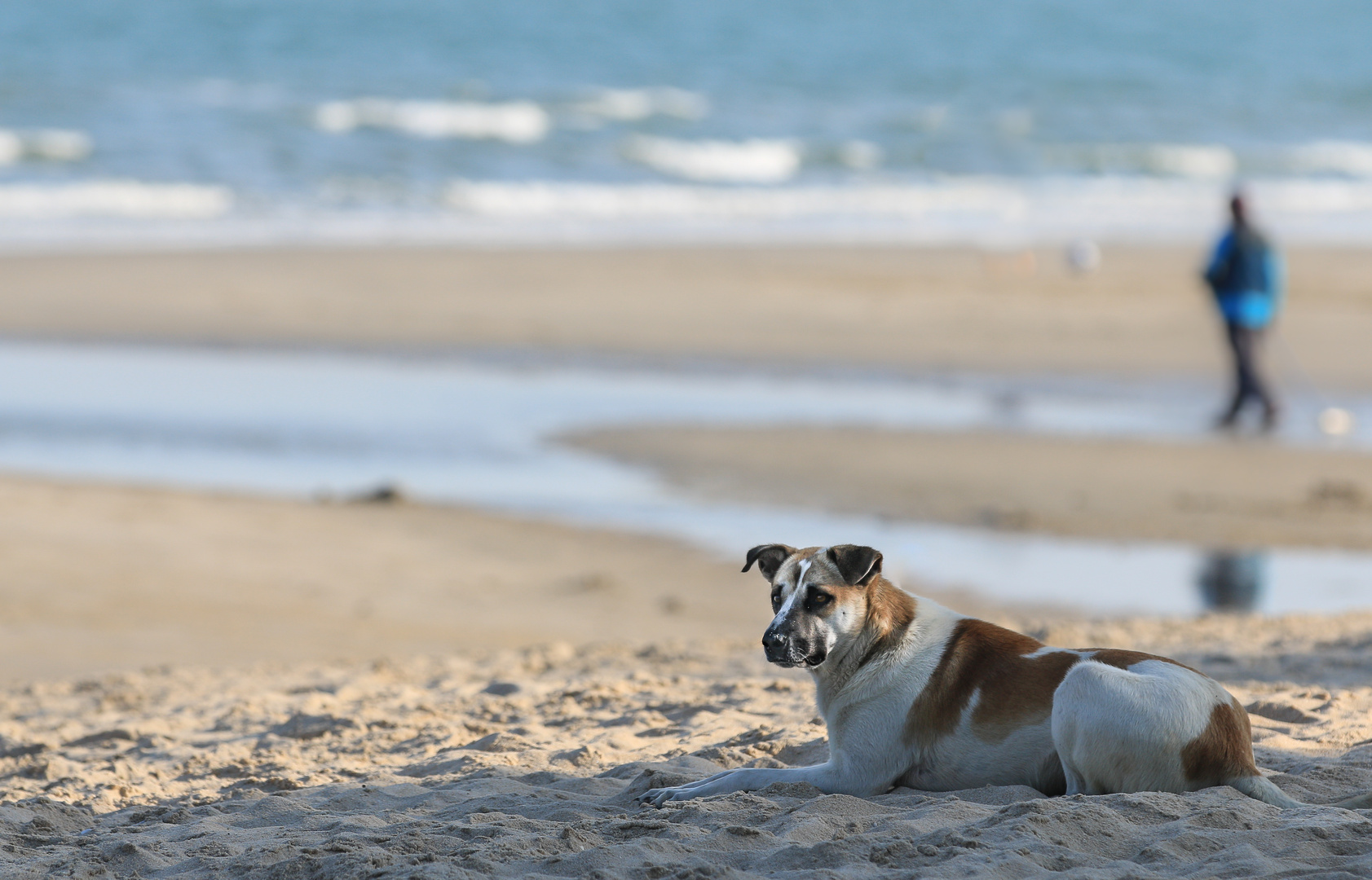 Strandspaziergang