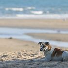 Strandspaziergang