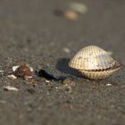 Strandspaziergang