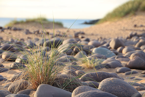 Strandspaziergang