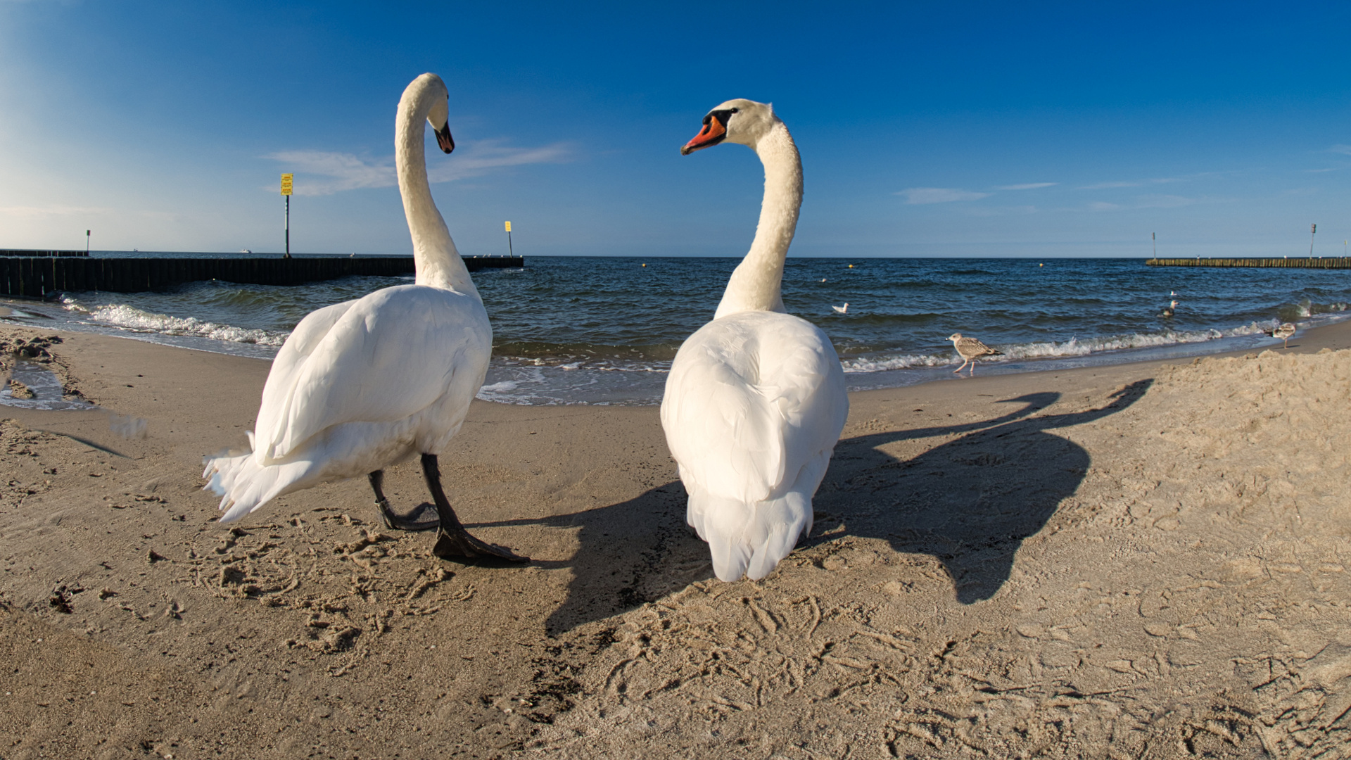 Strandspaziergang