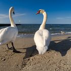 Strandspaziergang