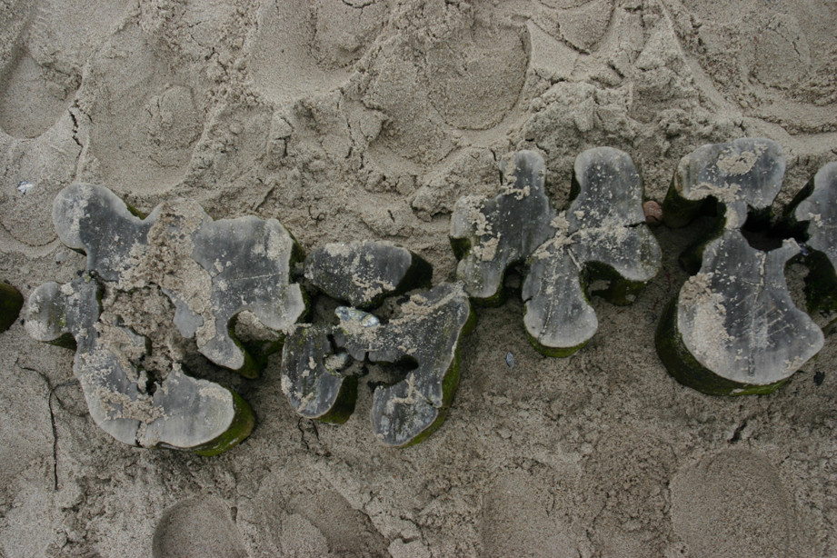 Strandspaziergang